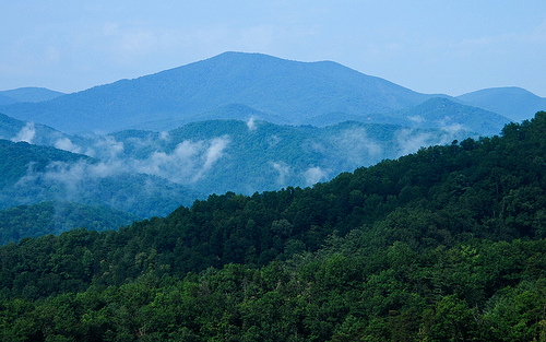 2284507439_3ee52ca3c4