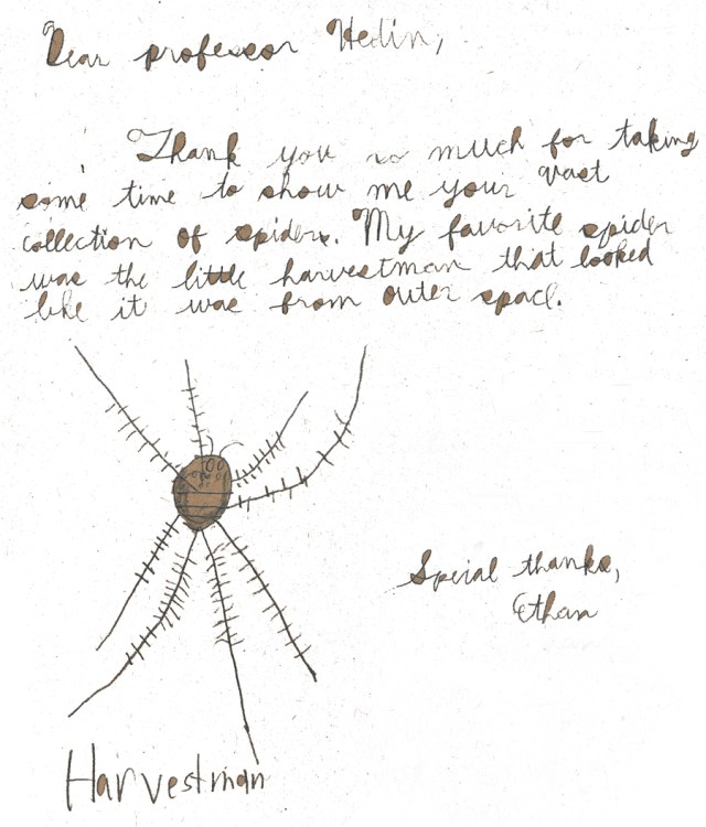 outerspaceharvestmen