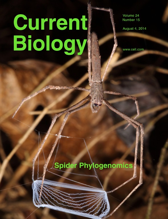 CURBIO_24_15.c1.indd