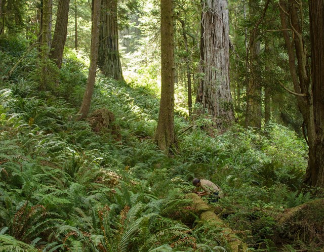 N of Orick, MCH 14_017-2