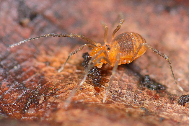 21437222182_d62b257720_z